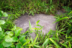 DSC07661