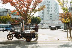 Automne